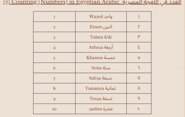 Basic Arabic Courses - Image 4