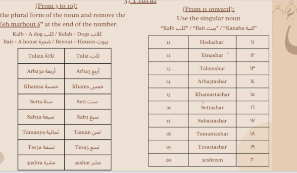 Basic Arabic Courses - Image 2